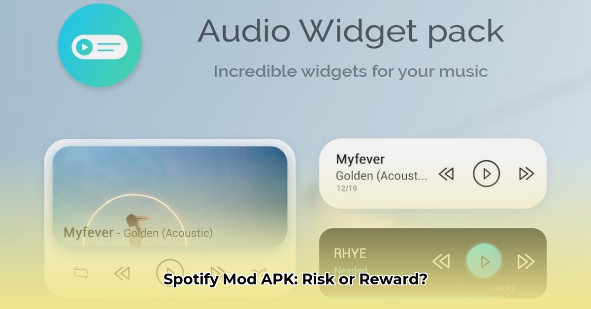 spotify-mod-apk-liteapks